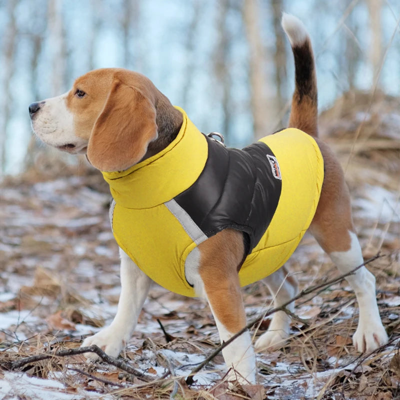 Polstret Vinterjakke til Hunde